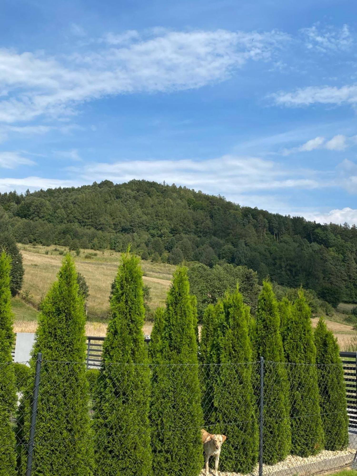 Domek Pod Sosnowa Gora Zelazno  Exterior photo
